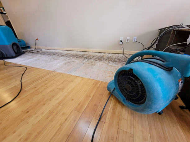 Professional Water Removal technician working in Saint Stephen, SC